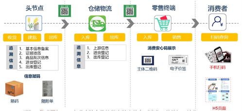 防疫指南 以行动护安全